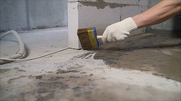 Top rated local Basement Waterproofing specialists in Woodbridge, VA